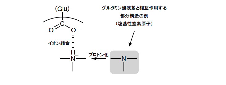 解説画像